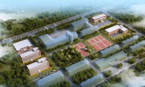 商河县幼儿园 小学 初中 高中 职专等重点项目建设进度