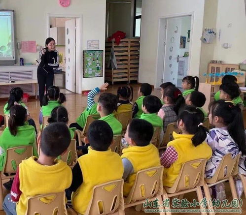 济南市历城区新育验幼儿园与济南七里山幼儿园教育特色对比