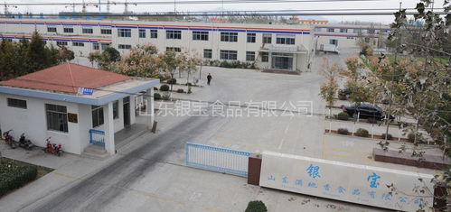 山东银宝食品与济南七里山幼儿园携手共建健康饮食新篇章